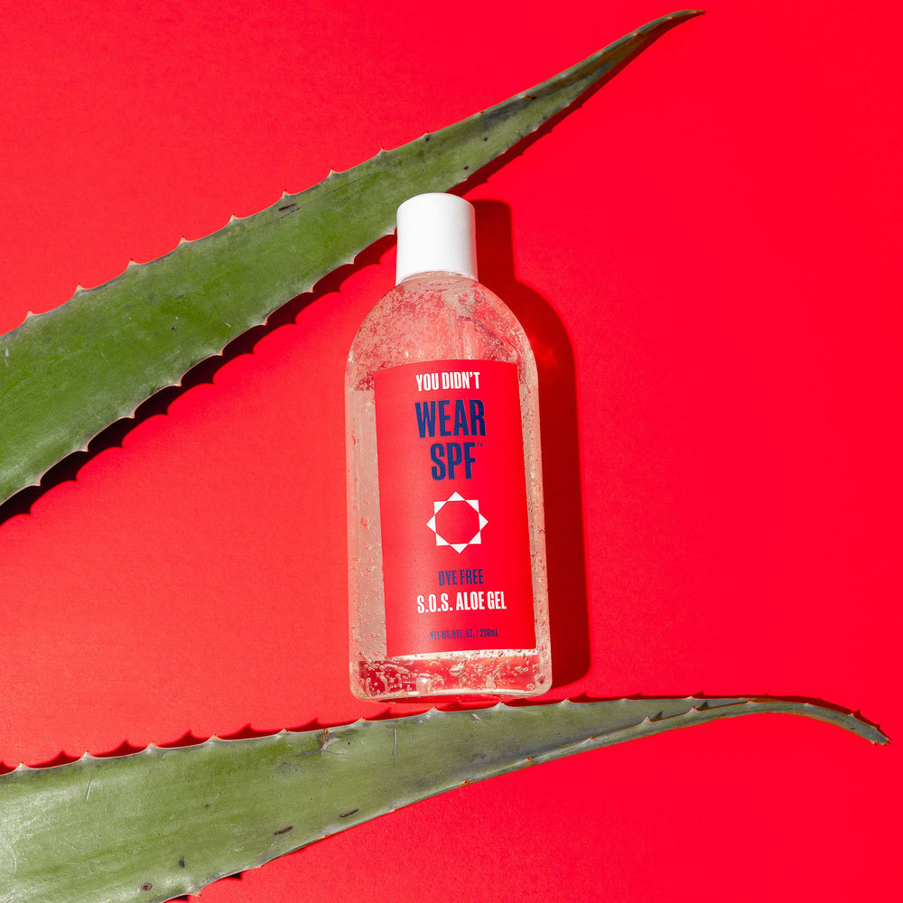 WearSPF Aloe Gel Plant